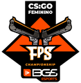 BGS 2021 FEM
