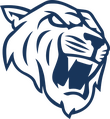 DP