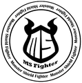 MS Fighter