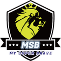 MSB