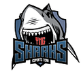 Sharks