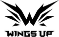 Wings Up