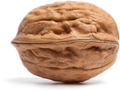 NUT