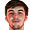 zodi