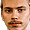Polvi