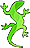 Lizard