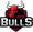 GTZ Bulls