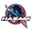 Hasagi