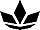 MAJ