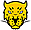 Jaguares