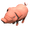 TPP