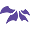 AXR