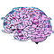 Brain Lag