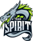 Team Spirit