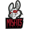 Misfits Academy