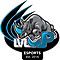 Level Up esports