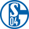 Schalke 04 Evolution