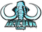 Arctic Dawn Gaming
