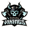Valhalla Vikings