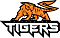 Intergalaxy Tigers Gaming