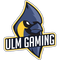Ulm Gaming