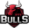 GTZ Bulls
