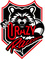 Crazy Raccoon