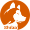 Team Shiba