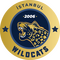 İstanbul Wildcats