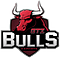 GTZ Bulls Academy