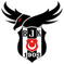Besiktas Esports