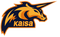 Kaisa Gaming
