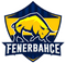 Fenerbahçe Esports