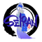 S1R