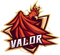 Team Valor