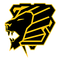 Knights Academy