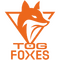 TeamOrangeGaming