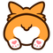 Tylers Corgis