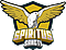 Spiritus Sancti E-Sport Coaches Team