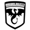 Dragonslayerzzz
