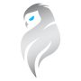 MIR