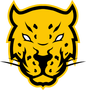 Jaguares FEM