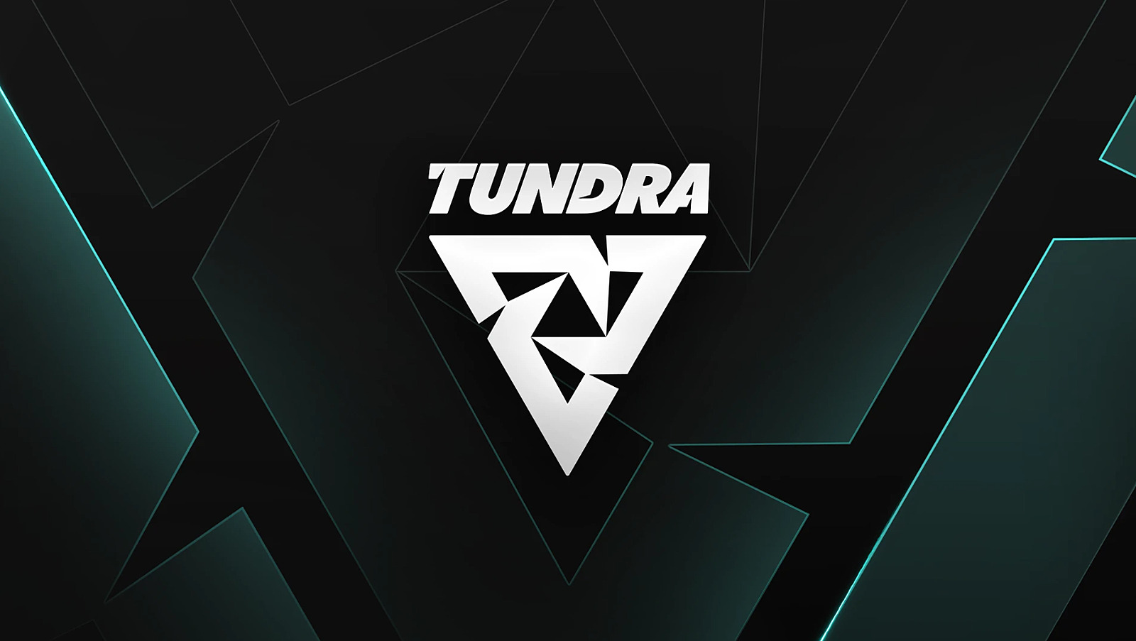 Tundra Esports: «MinD_ContRoL уведомил нас, что не будет представлять  команду, если не будут выполнены необоснованные условия» — Escorenews