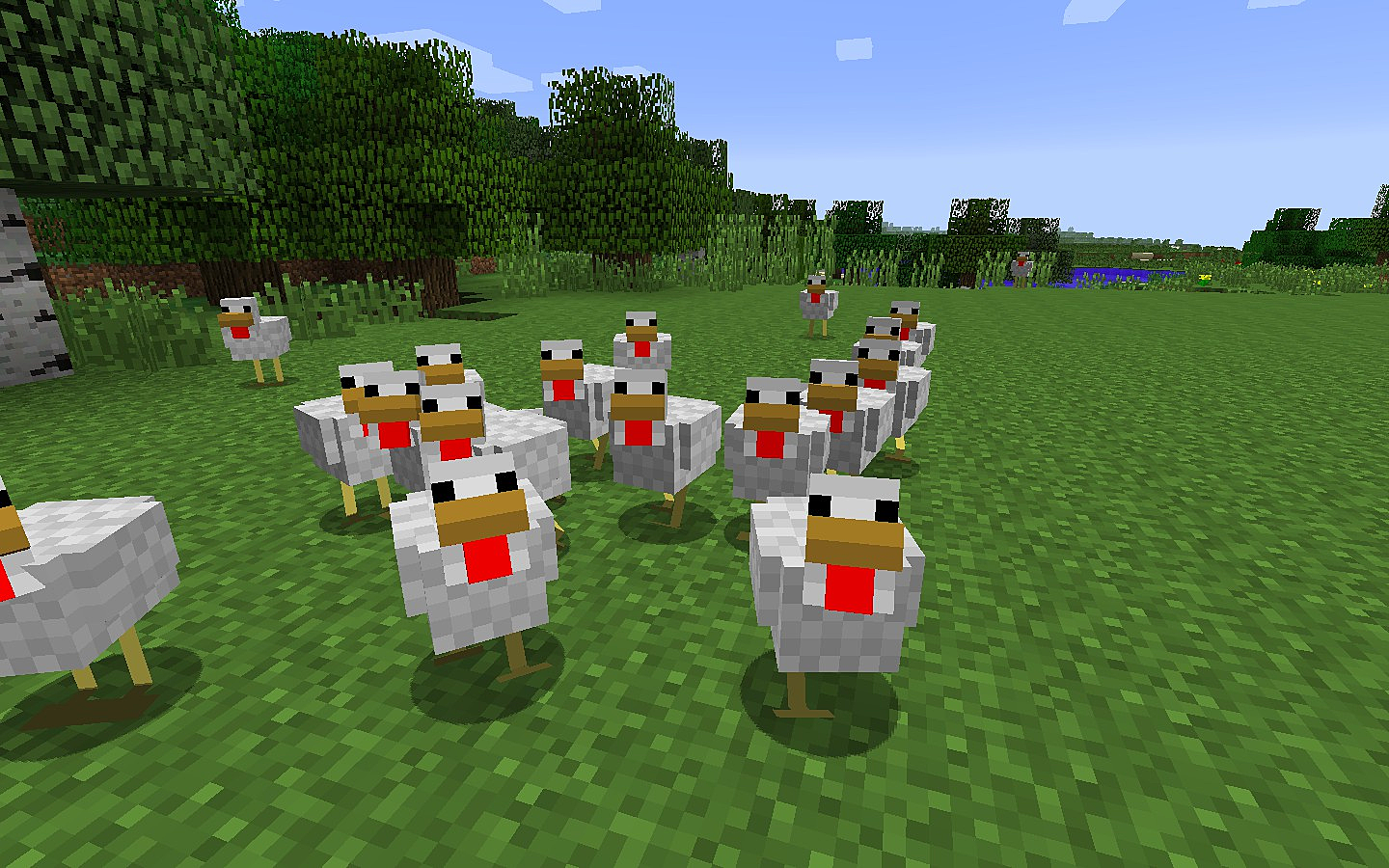 Chicken minecraft. Chickens Mod майнкрафт. Курица в МАЙНКРАФТЕ мод. Мод на куриц. Куры из МАЙНКРАФТА.