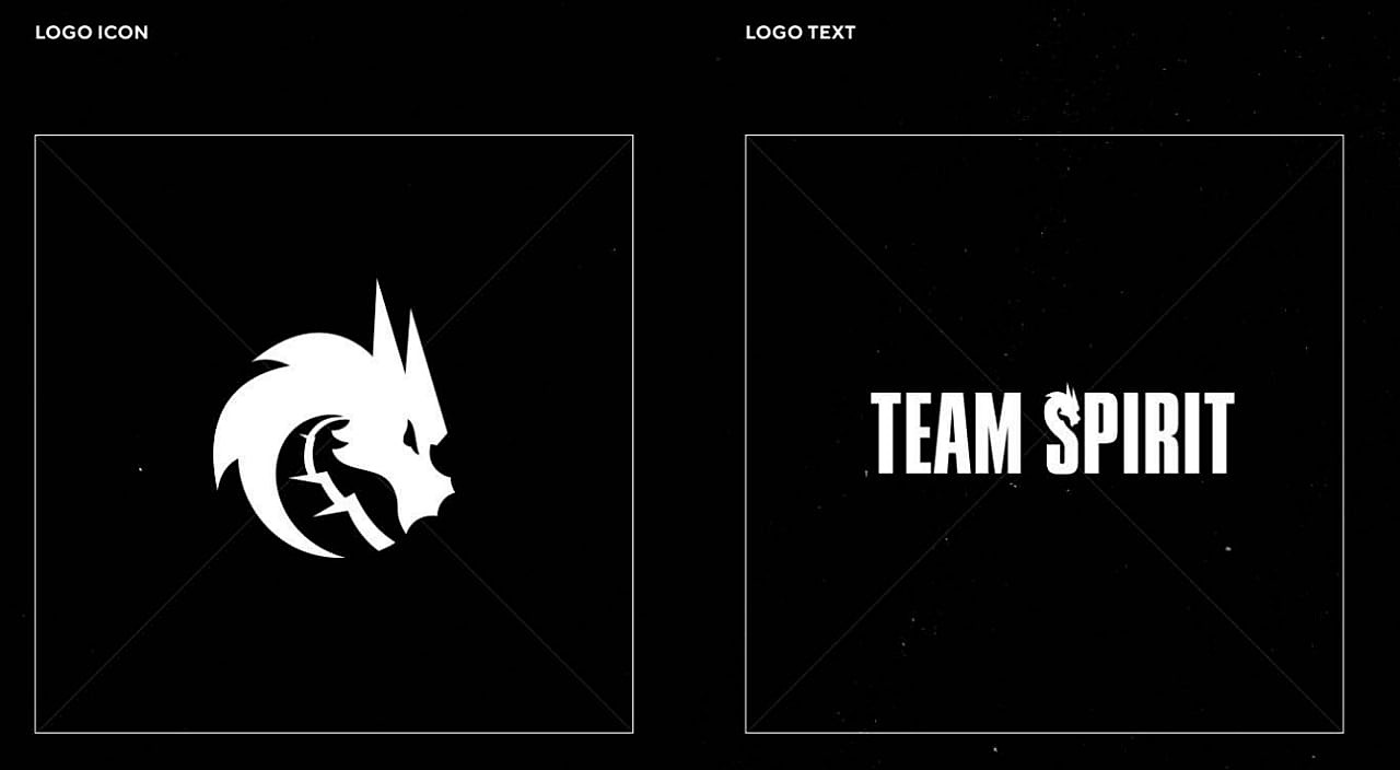 Team spirit mlbb. Team Spirit. Team Spirit логотип. Team Spirit новый логотип 2021. Team Spirit обои.