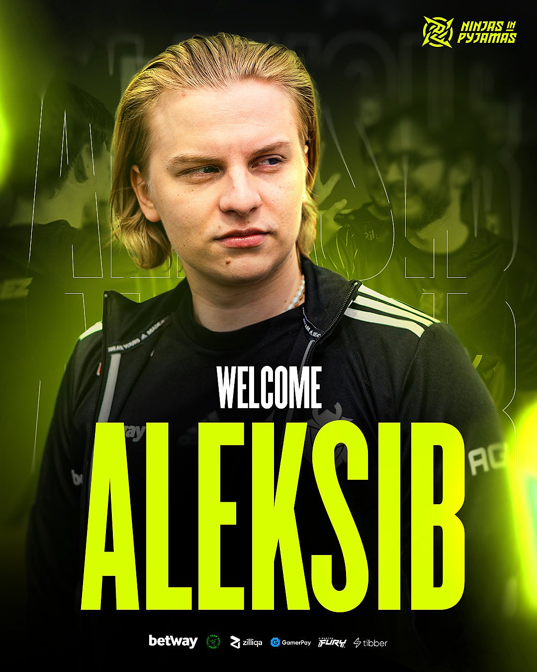 Aleksib steam profile фото 37