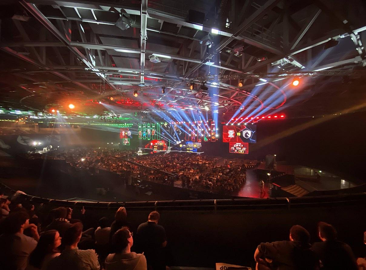Live arena фото зала с местами