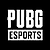 PUBG Esports