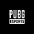 PUBG_BATTLEGROUNDS