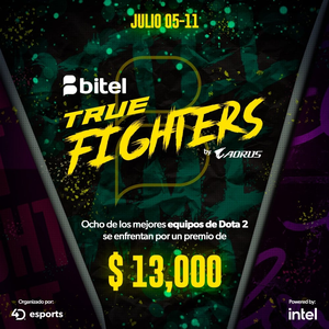 Bitel True Fighters